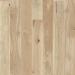 SAGA Exclusive Coconut