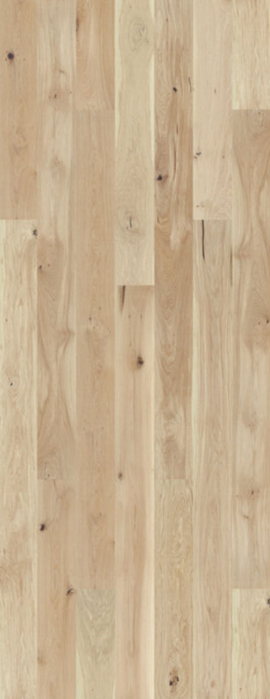 pb-60037603 SAGA Exclusive Coconut - Bilde 1